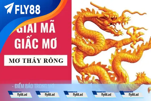 Ngủ mơ rồng vàng trong mộng Ngủ mơ rồng vàng trong mộng